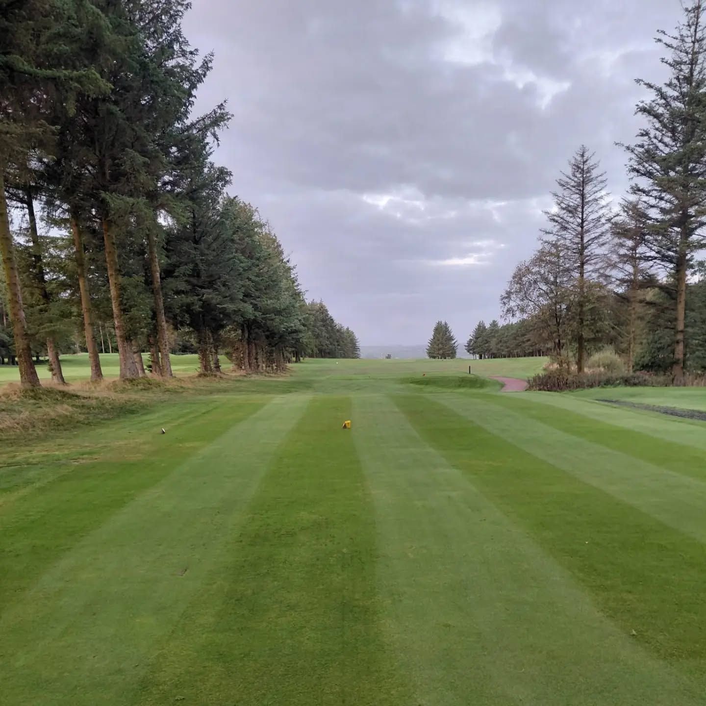 Course Update